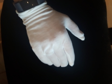Butler Handschuhe - Anrichte Handschuhe