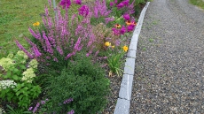 Gartenumänderung