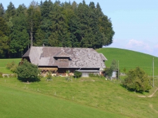 Bauernhaus Wohnung (Lieblingobjekt)