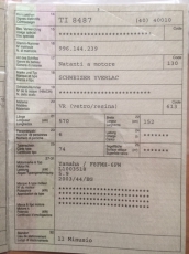 motorisiertes Boot «Schweizer Yverlac