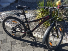 Mountainbike, Velo, Jugendfahrrad, 15