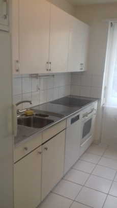 3,5 Zimmer Whg 88qm Kreis 7 Zürich!!