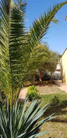 Wunderschönes Ferienhaus an der Côte d'Azur in Hyères 