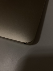 MacBook Gold Retina 2015 12 Zoll 250GB