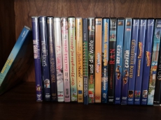 31 DVD's verschiedene Kategorien