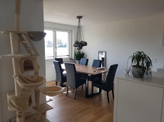 4,5 Zimmerwohnung Jona