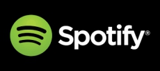 DAB Autoradio Spotify Neu 2019