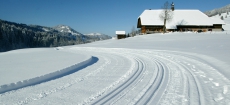 Langlaufschule Emmental Entlebuch Berner-Oberland 