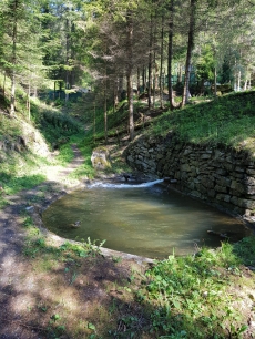 3 kleine Fischweiher 