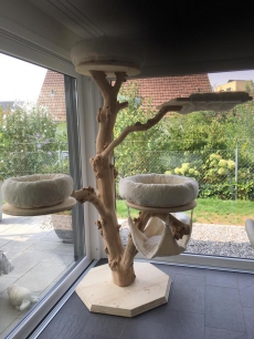 Indoor Naturkratzbaum
