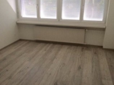 4,5Zimmer Wohnung