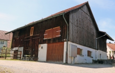 Wohnen mit Ihren Pferden - 4.5 Zimmer Mittelflarzhaus