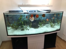 1200Liter Aquarium komplett