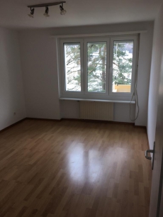 3 Zimmerwohnung