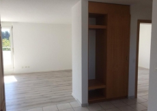 Neu Renovierte 3.5 Zimmer Attika-Wohnung 