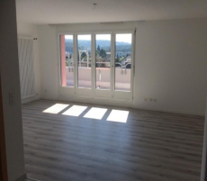 Neu Renovierte 3.5 Zimmer Attika-Wohnung 