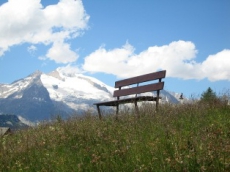 Zu vermieten: Ferienchalet auf dem Rosswald VS