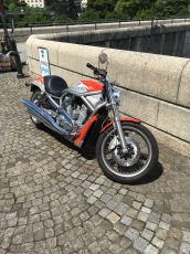 Harley Davidson Screamin Eagle VRSCX Limited Edition