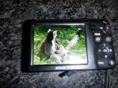 Nikon COOLPIX 16.1 Megapixel