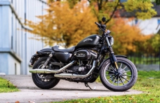 Harley-Davidson XL883N mit ABS