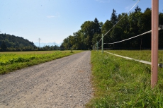 Platz im Barhuf Offenstall Kiesen