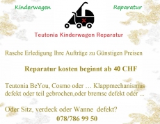 Teutonia und phil & Teds Kinderwagen Reparatur. ab CHF 40