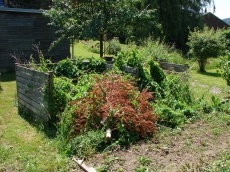 Unterhalt Ihres Gartens Gartenbau