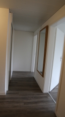 Lichterfüllte, gemütliche 2 ½ Zimmer Stadtwohnung