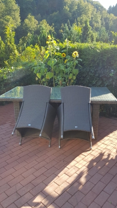 Gartentisch 200x100x78 mit zwei Gartenstühle