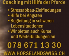 Coaching mit Pferd