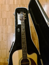 Ibanez western gitarre