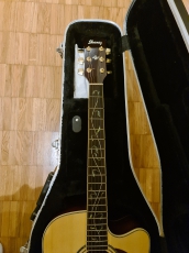 Ibanez western gitarre