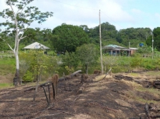 Brasilien 70 Ha Fischzucht in der Nähe von Manaus AM