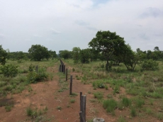 Brasilien 4'000 Ha grosses Tiefpreis - Grundstück in Para