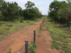 Brasilien 4'000 Ha grosses Tiefpreis - Grundstück in Para