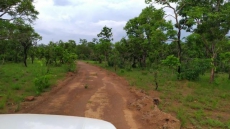 Brasilien 4'000 Ha grosses Tiefpreis - Grundstück in Para