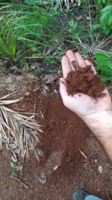 Brasilien 4'000 Ha grosses Tiefpreis - Grundstück in Para