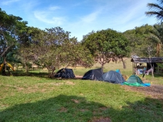 Brasilien 68 Ha grosses Tiefpreis-Grundstück Region Manaus AM