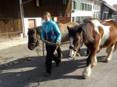 Praktikantin für Reittherapiebetrieb