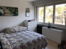 RESERVIERT 5.5 Zimmer Haus in 4114 Hofstetten, Leimental