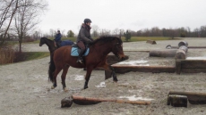 Pferdefreundlicher Unterricht