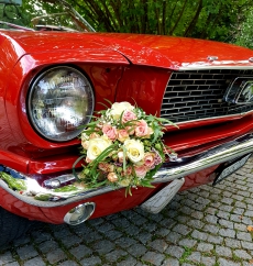 for rent / Miete eine Legende Ford Mustang 1966 