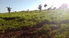 Brasilien 480 HA Rinderfarm Tiefpreis-Grundstück mit Flussantoss