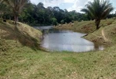 Brasilien 480 HA Rinderfarm Tiefpreis-Grundstück mit Flussantoss