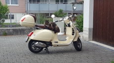 Vespa 125 GTV Jubiläumsmodell 2008