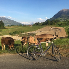 Trekking Herrenvelo KUWAHARA Japan