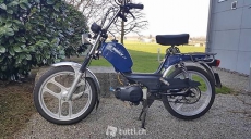 Pony GTX 521 mit Betamotor