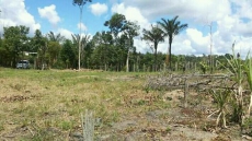 Brasilien Millionär werden mit Landkauf!