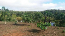 Brasilien Millionär werden mit Landkauf!