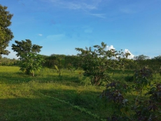 Brasilien Millionär werden mit Landkauf!